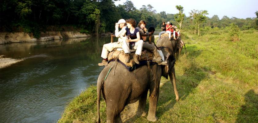 Jungle Safari in Nepal