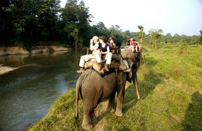 Jungle Safari in Nepal