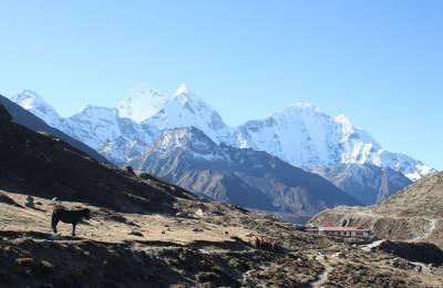 Everest Base Camp Trek with  Island Peak - 21 days