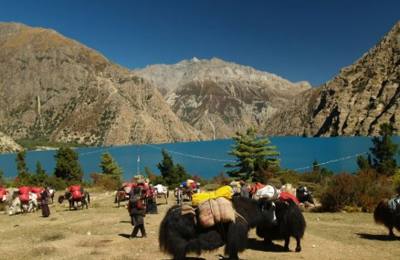 Upper Dolpo (Juphal to Jomsom)